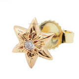 【新品未使用】Star Gold Earring with Diamond